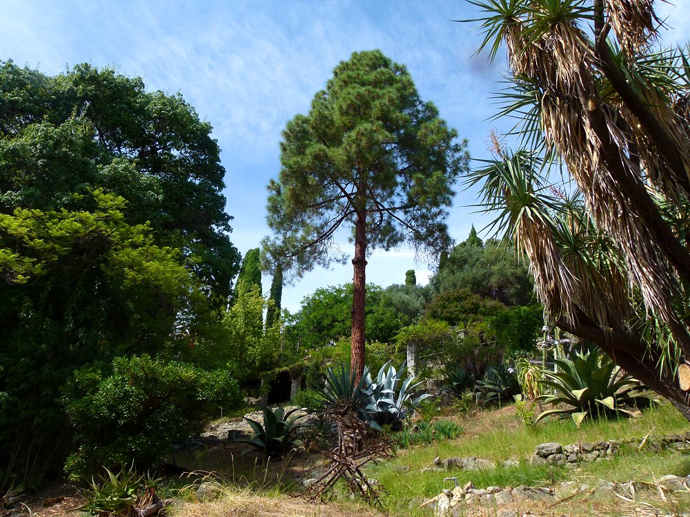 Botanischer Garten in Ventimiglia