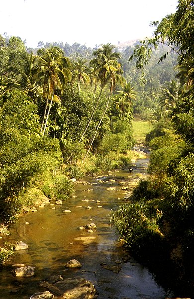 Flusslandschaft sdlich Kandy