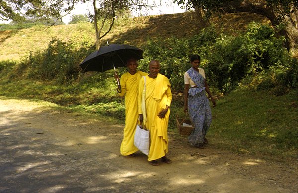 Buddhistische Nonnen