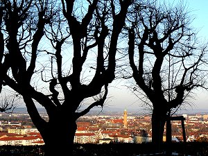 Bamberg: Auf dem Michaelsberg