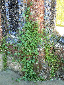 Bayreuth - Eremitage, am Neuen Schloss