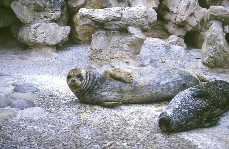 Marineland zwischen Nizza und Antibes