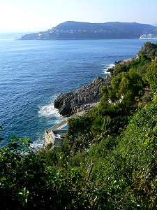 Mont Boron von Cap Ferrat gesehen