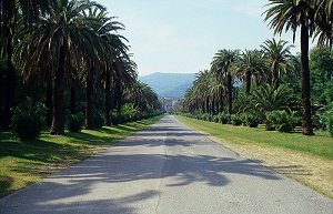 In Cavalaire-sur-Mer
