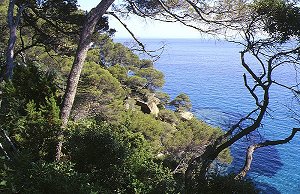 Küste am Park der Domaine du Rayol