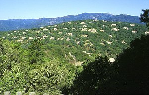 Blick von der Burgruine