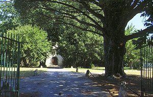 Grimaud - Notre Dame de la Queste