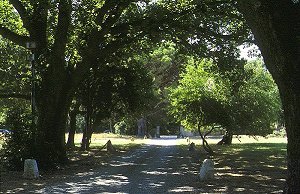 Grimaud - Notre Dame de la Queste