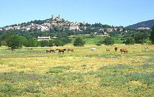 Grimaud