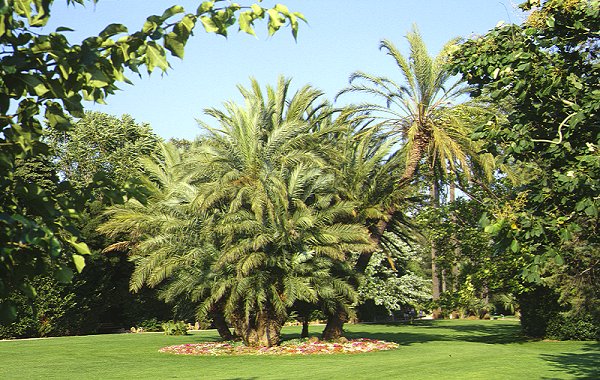 Jardin Olbius-Riquier in Hyeres