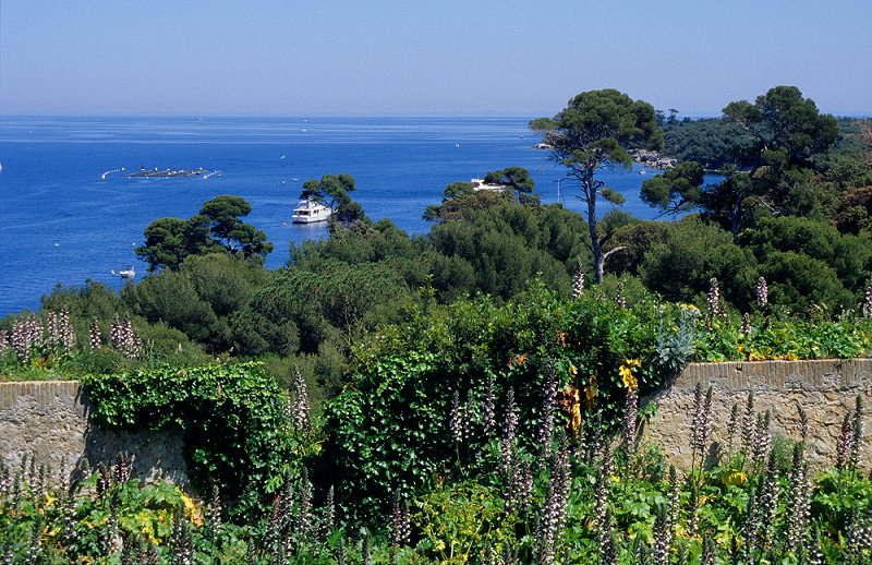 Ile Ste-Marguerite - Fort Royal