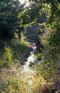 Der Bach le Batailler bei le Lavandou