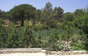 bei Saint-Raphael