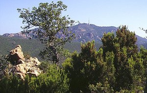 Massif de l'Esterel