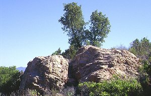 Massif de l'Esterel