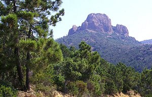 Pic du Cap Roux