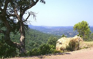Foret Domaniale de l'Esterel