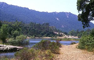 Foret Domaniale de l'Esterel