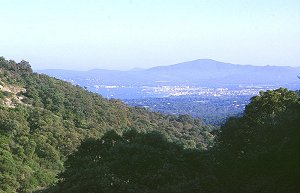 Port Grimaud vom San Peire gesehen