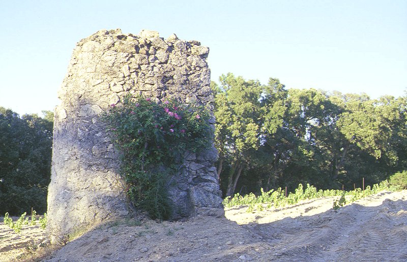 Brunnen in einem Weinberg