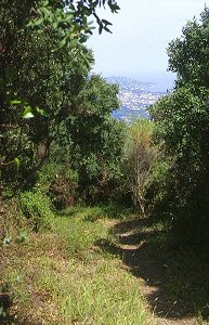 Ste-Maxime von der Haute Suane gesehen