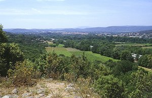Tal des l'Argens, im Hintergrund le Muy