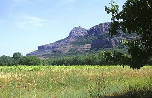 Montagne de Roquebrune vom dem Tal des l'Argens gesehen