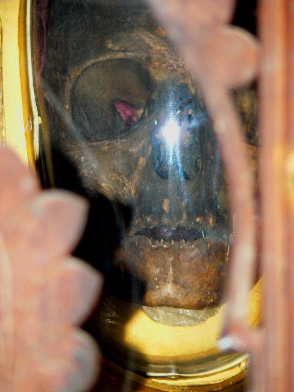 Schädel vom Skelett der Maria Magdalena