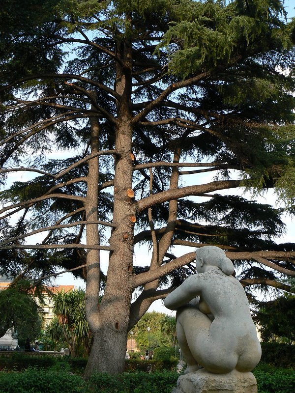 Antoniucci Volti - Skulptur von nackter Frau