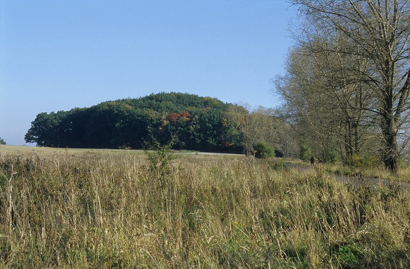 Egerland - Kammerbühl (Komorní hurka)