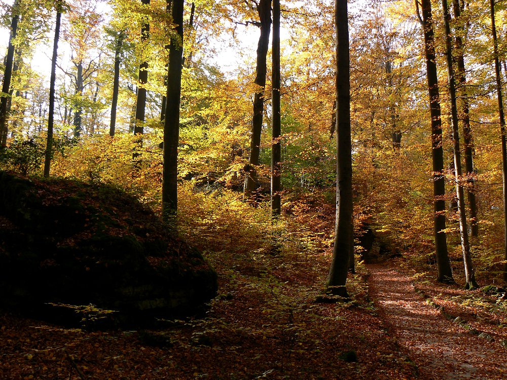 Landschaftsgarten