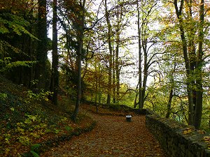 Landschaftsgarten