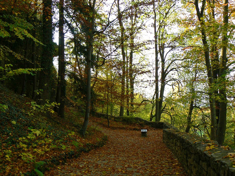 Landschaftsgarten