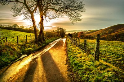 Landschaftsbild Goldene Erinnerungen von Mark Gemmell