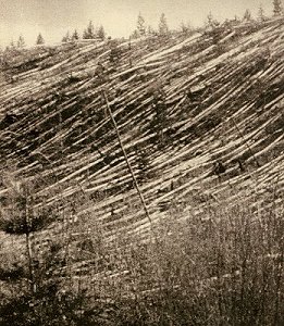 Das Tunguska-Ereignis