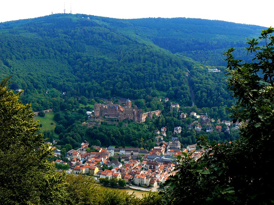 Altstadt von Heidelberg im Neckartal zu Füßen des Königstuhls