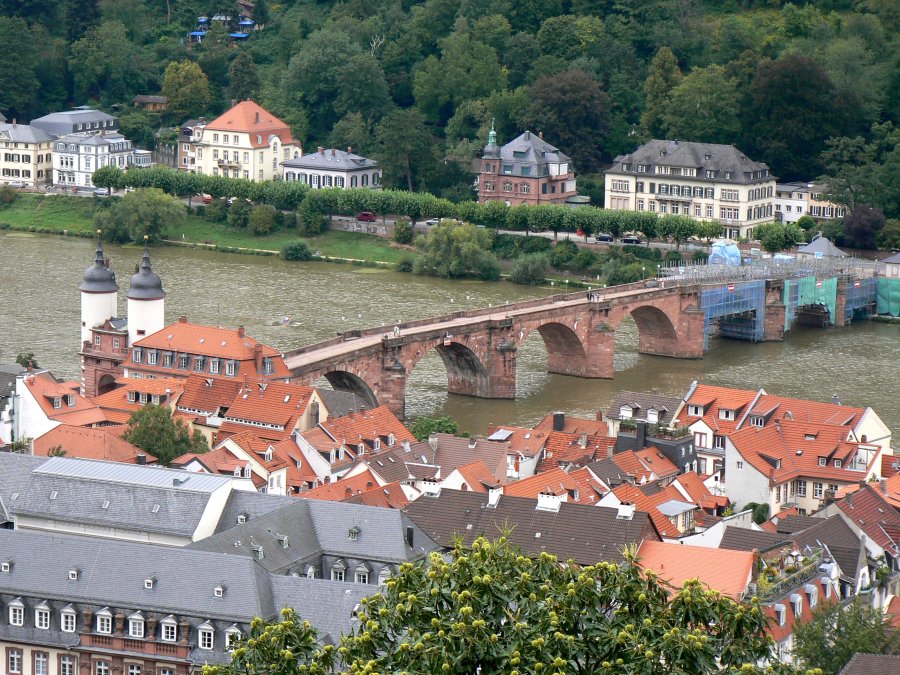 Der Neckar mit der Alten Brücke und dem Brückentor