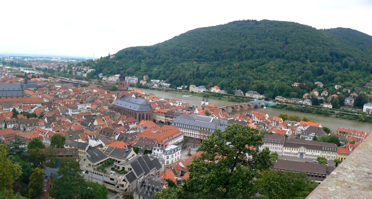 Aussicht vom Heidelberger Schloss