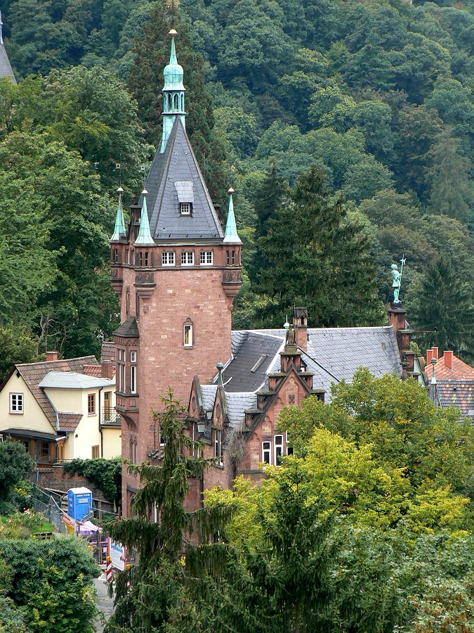Aussicht vom Heidelberger Schloss