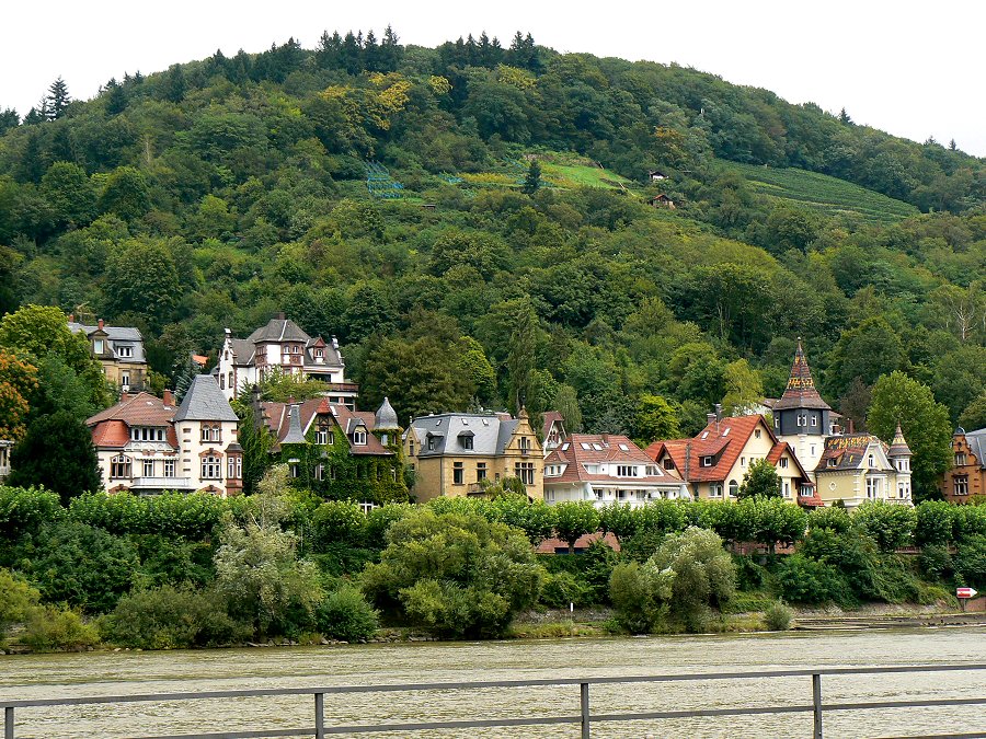 Der Heidenknörzel bei Heidelberg