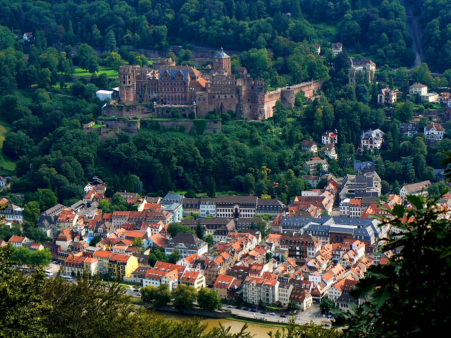 Heidelberger Schloss über der Altstadt im Neckartal