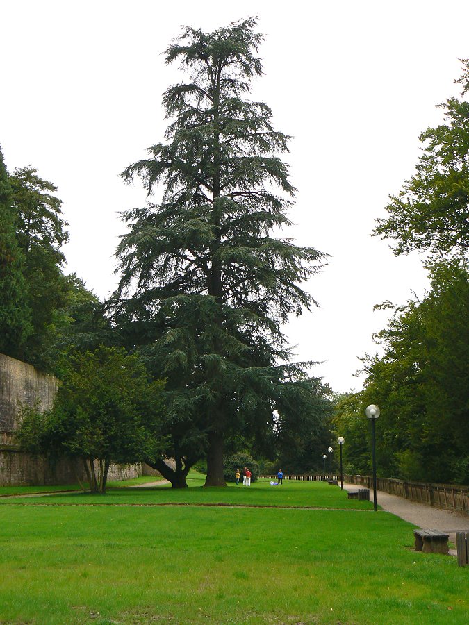 Heidelberger Schlossgarten Hortus Palatinus