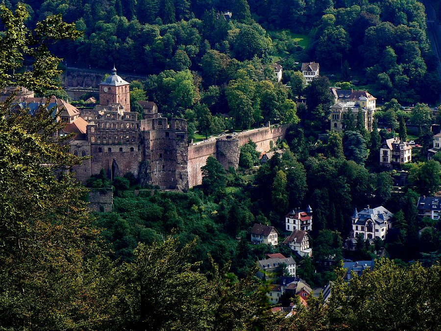 Das Heidelberger Schloss