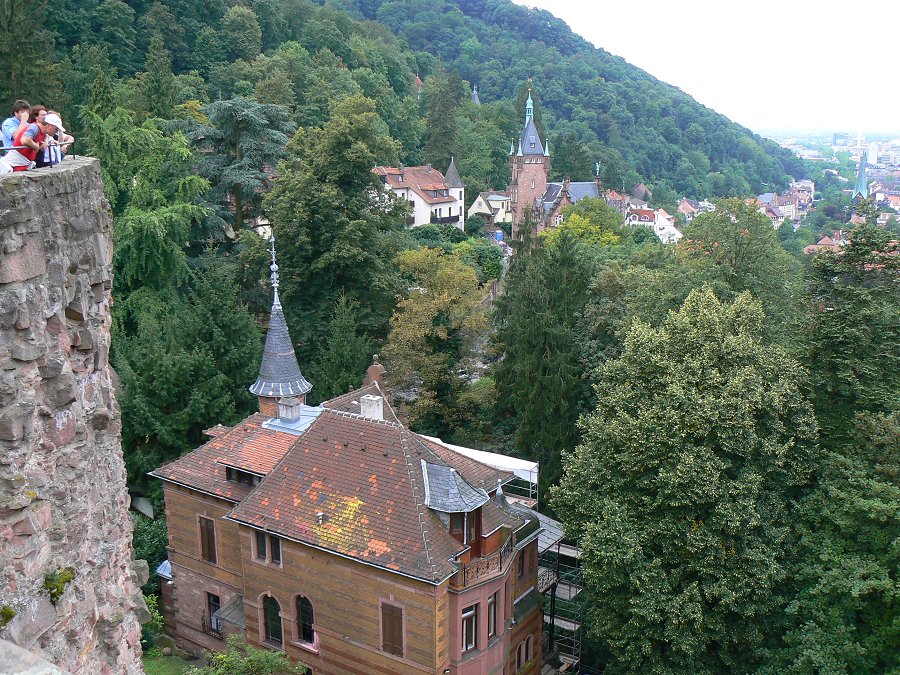 Aussicht vom Heidelberger Schloss