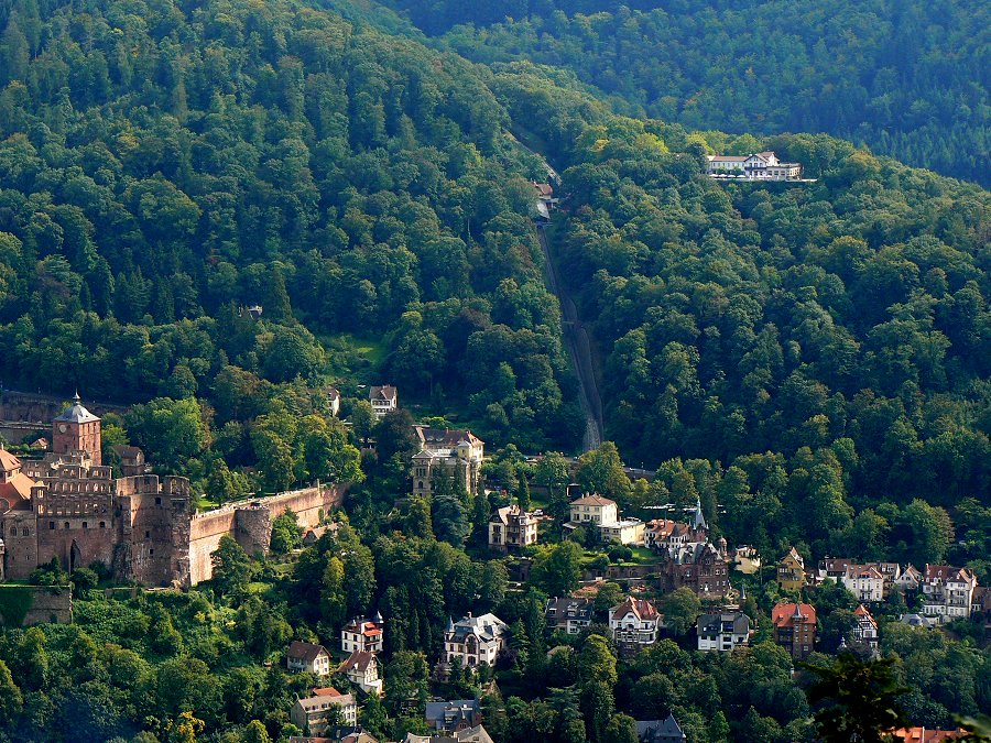 Die Molkenkur oberhalb des Heidelberger Schlosses