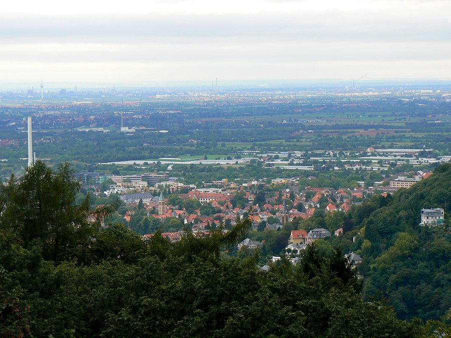Aussicht von der Molkenkur in Heidelberg über die Rheinebene