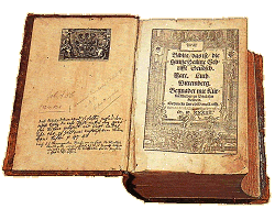 Die Luther-Bibel
