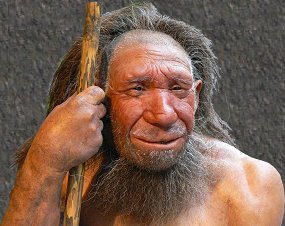 Der Neandertaler, Konkurrent des Homo Sapiens