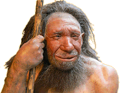 Der Neandertaler - Neanderthal-Museum