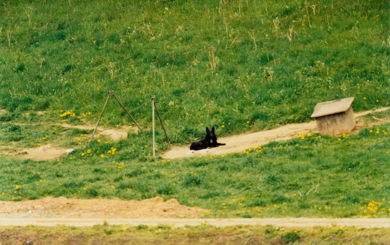 Hundelaufanlage an der DDR-Grenze